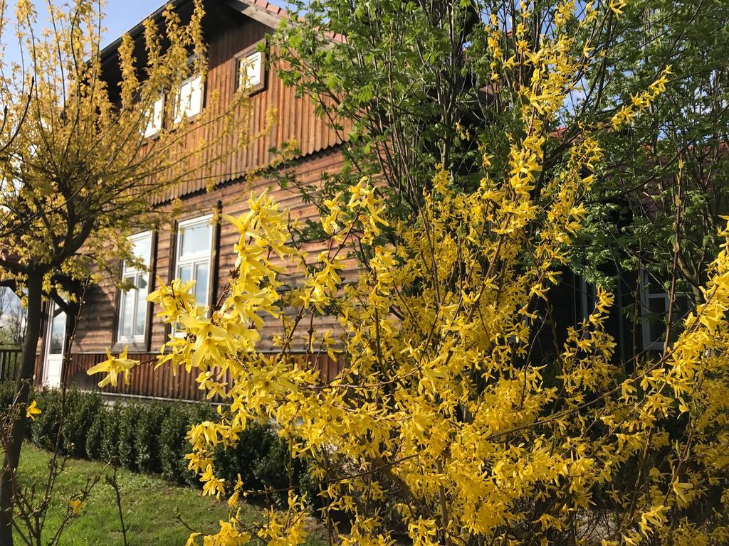 Apartamenty Nadedworce Kazimierz Dolny Exteriér fotografie